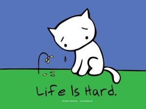 life-is-hard